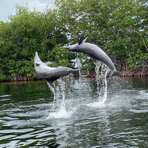 Meet your Posher, Caleb